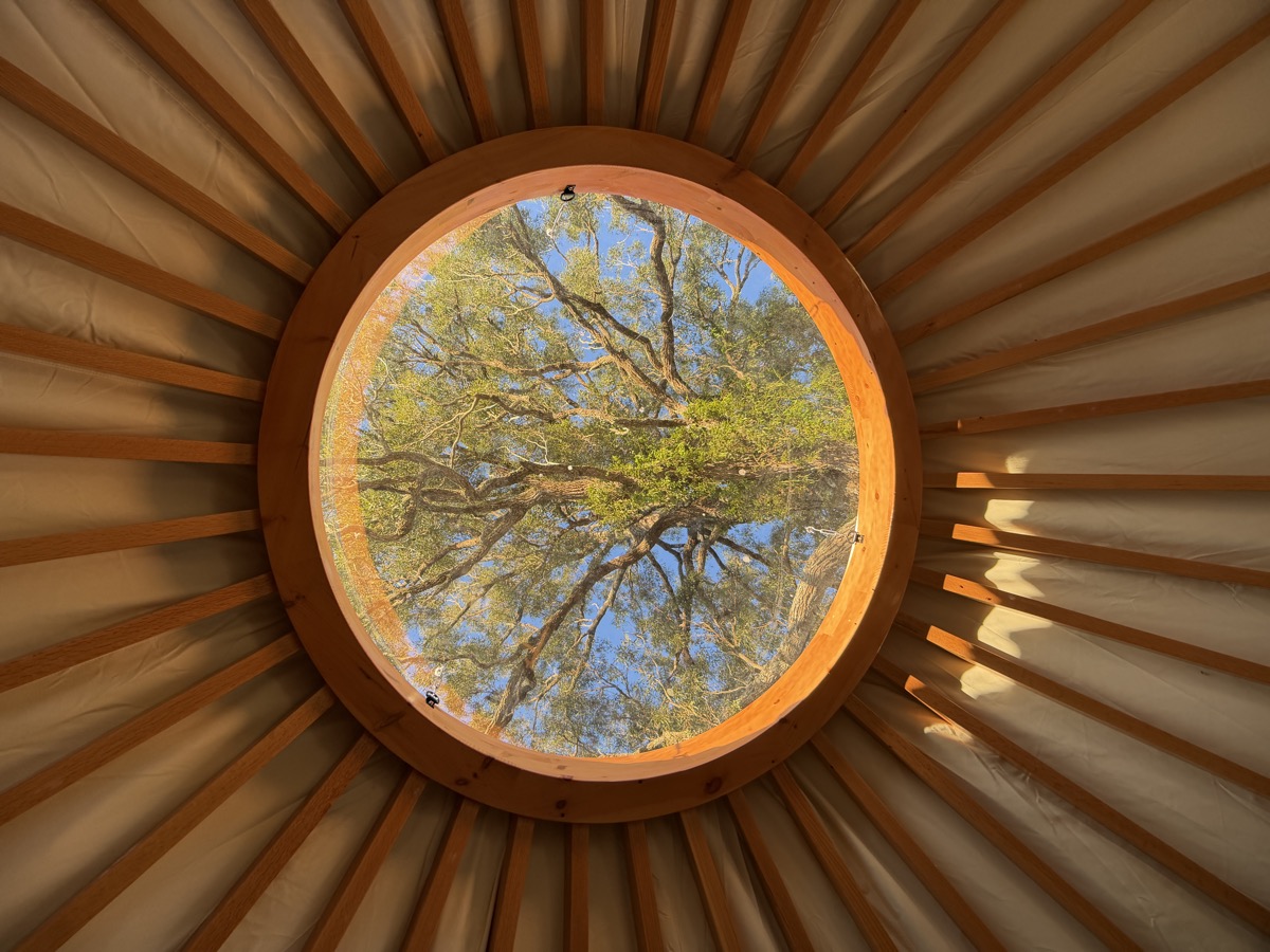 Dome skylight from below, framed by rafters